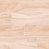 Aspenwood Ash Porcelain Tile