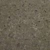 Calacatta Vicenza Quartz Countertop