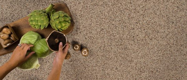 Bedrock Quartz Countertop