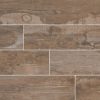 Honey Salvage Porcelain Tile