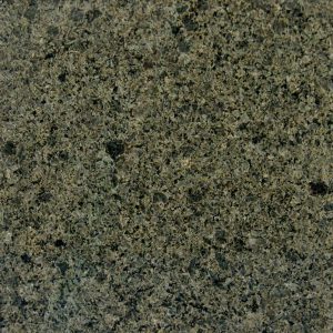 Cactus Granite Countertop