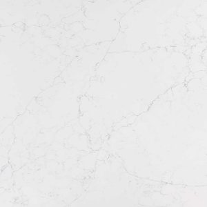 Calacatta Botanica Quartz Countertop