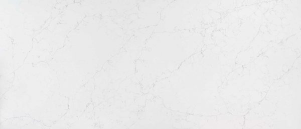 Calacatta Botanica Quartz Countertop