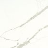 Blanca Statuarietto Quartz Countertop