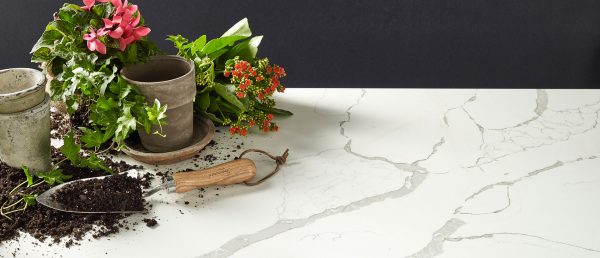 Calacatta Laza Quartz Countertop