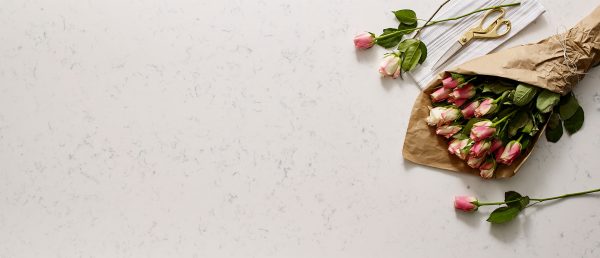 Cashmere Carrara Quartz Countertop