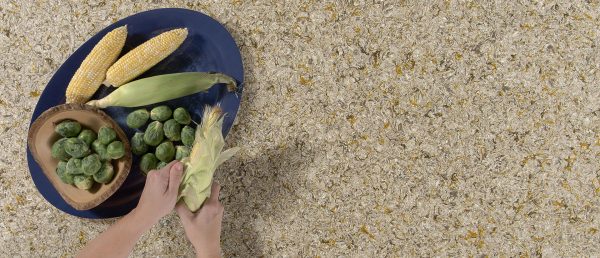 Chantilly Taupe Quartz Countertop