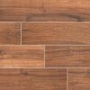 Palmetto Cognac Porcelain Tile