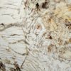 Costa Esmeralda Granite Countertop