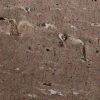 Crema Perla Granite Countertop