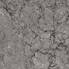 Calacatta Botanica Quartz Countertop