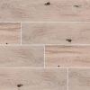 Palmetto Smoke Porcelain Tile