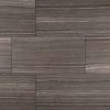 Eramosa Silver Porcelain Tile