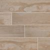 Salvage Brown Porcelain Tile