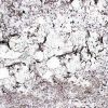 Moon White Granite Countertop