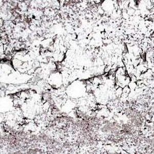 Mystic Spring Granite Countertop