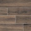 Antoni Platinum Porcelain Tile