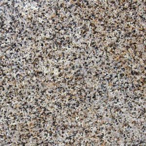 New Giallo Fantasia Granite Countertop