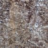 Ornamental Dark Granite Countertop