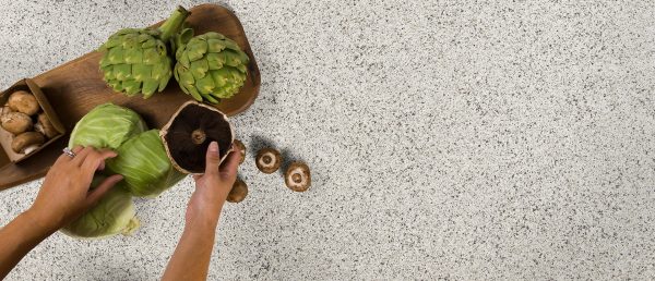 Peppercorn White Quartz Countertop