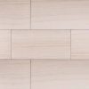 Eramosa Silver Porcelain Tile