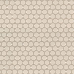 Almond Glossy Penny Round Mosaic