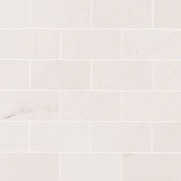 Aria Ice 2X4 Mosaic Polished Subway Tile Backsplash