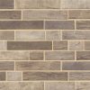 Driftwood Hexagon Backsplash Tile