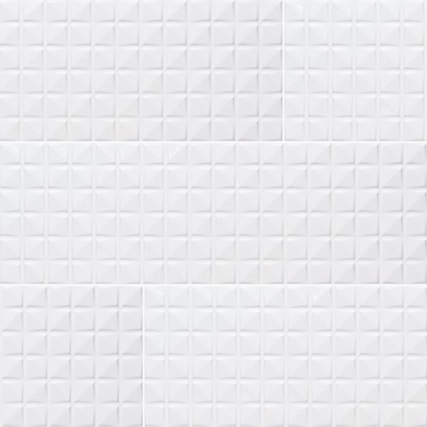 DYMO CHEX WHITE 12X36 GLOSSY