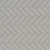 Gray Glossy Fish Scale Mosaic