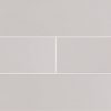 Gray Glossy Subway Tile 3x6