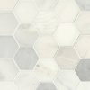 Greecian White 2x2 Polished in 12x12 Mesh