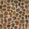 Polished Mix Pebbles Meshed 12x12