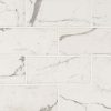 Statuario Celano Interlocking 6mm Glass Backsplash Tile