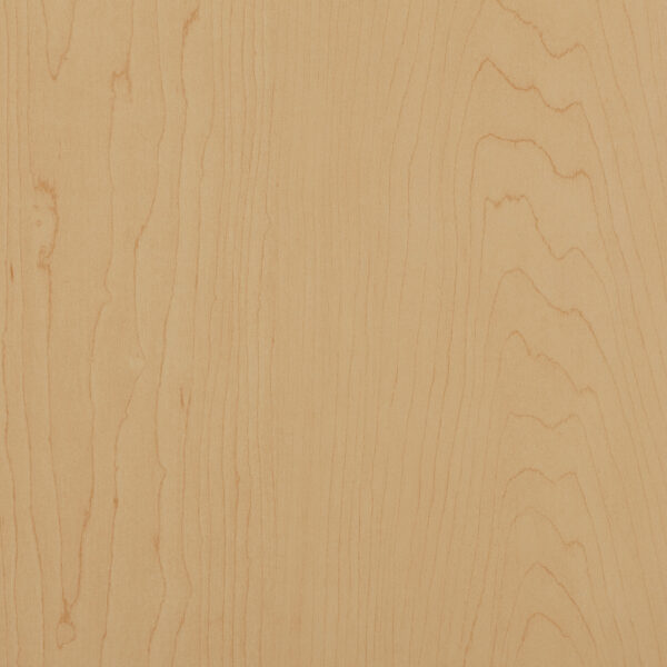 Century Cabinetry Hardrock Maple